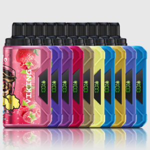 VapSolo VIKING 12000 Puffs – Pack 10